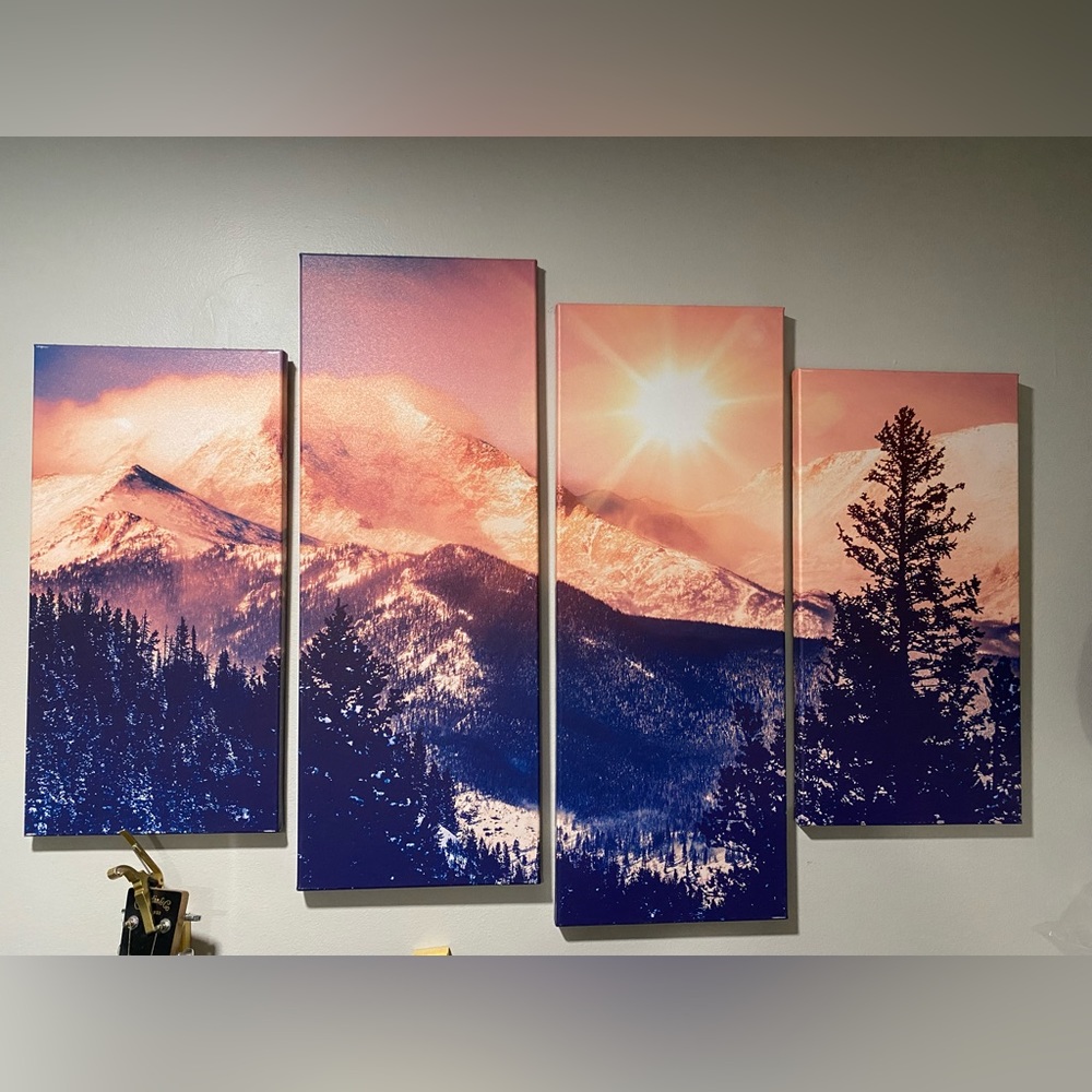 4 piece canvas art